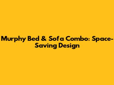 Murphy Bed & Sofa Combo: Space-Saving Design